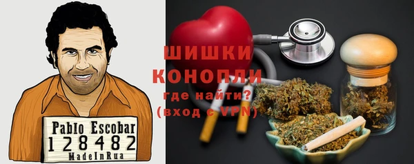 прущий лед Алзамай