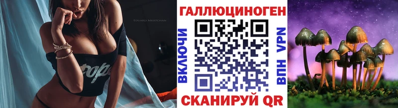 Псилоцибиновые грибы прущие грибы  Пошехонье 